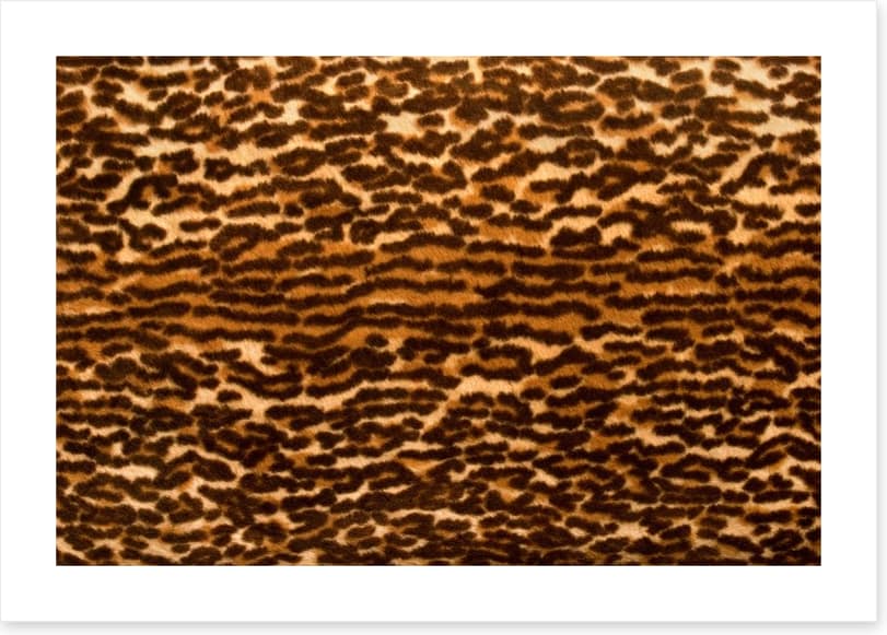 Animal Print