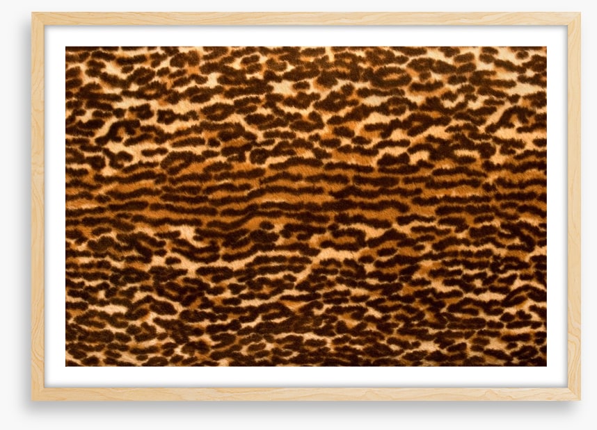 Animal Print