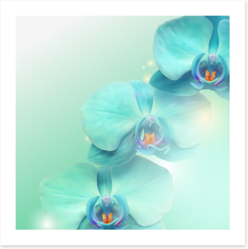 Orchid enlightenment