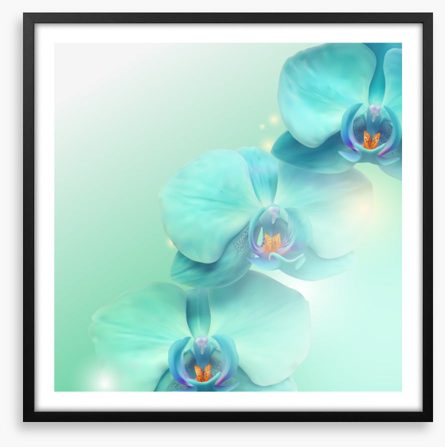 Orchid enlightenment