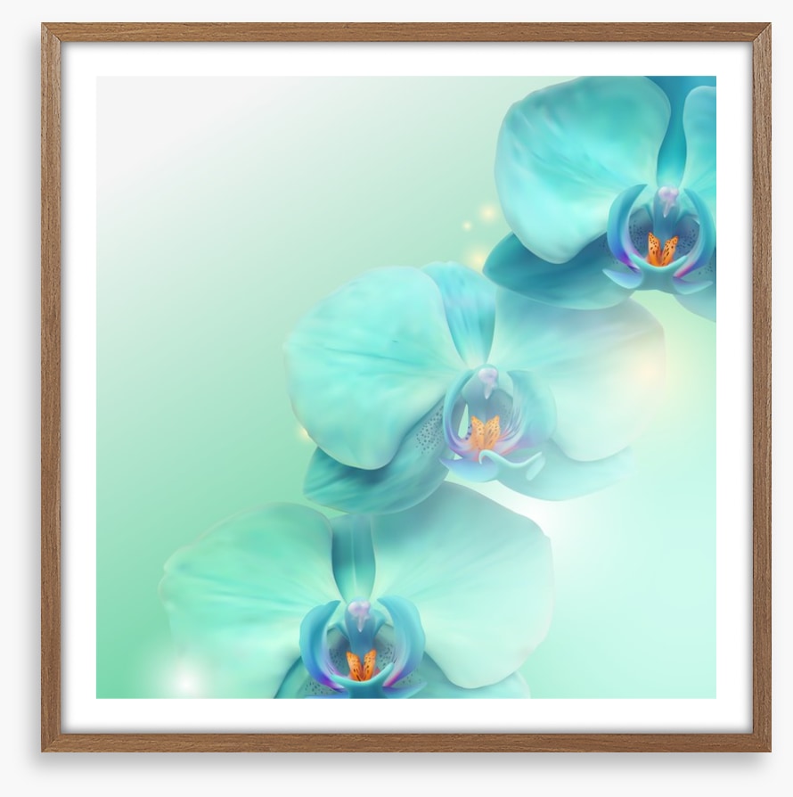 Orchid enlightenment