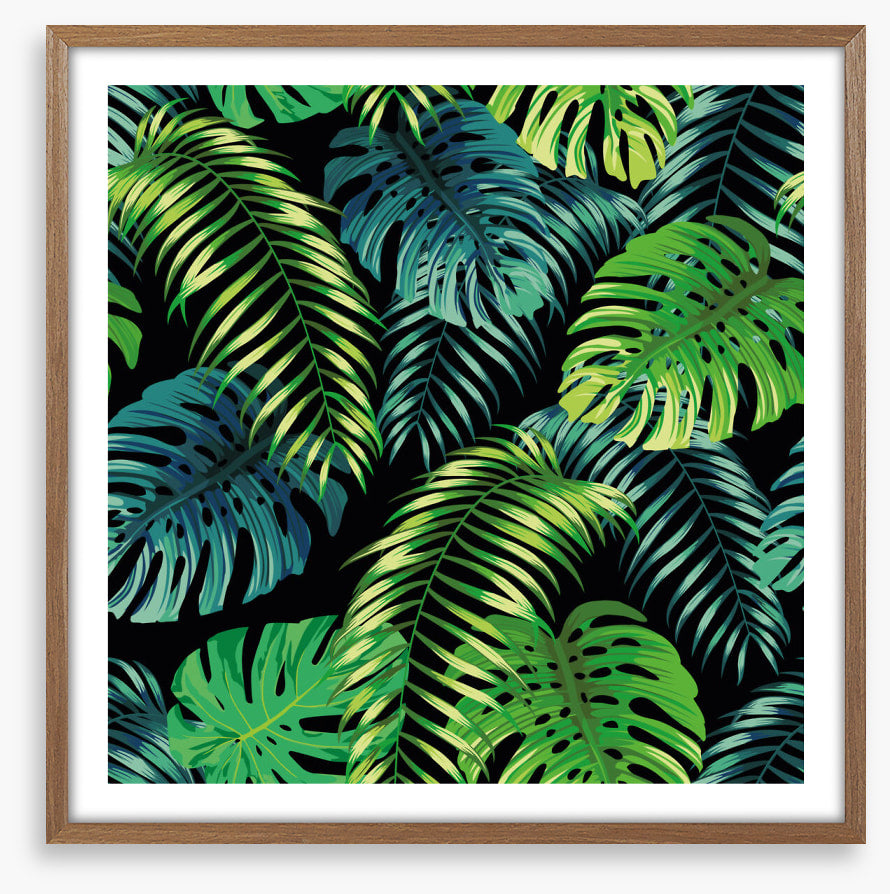 Fern a friend