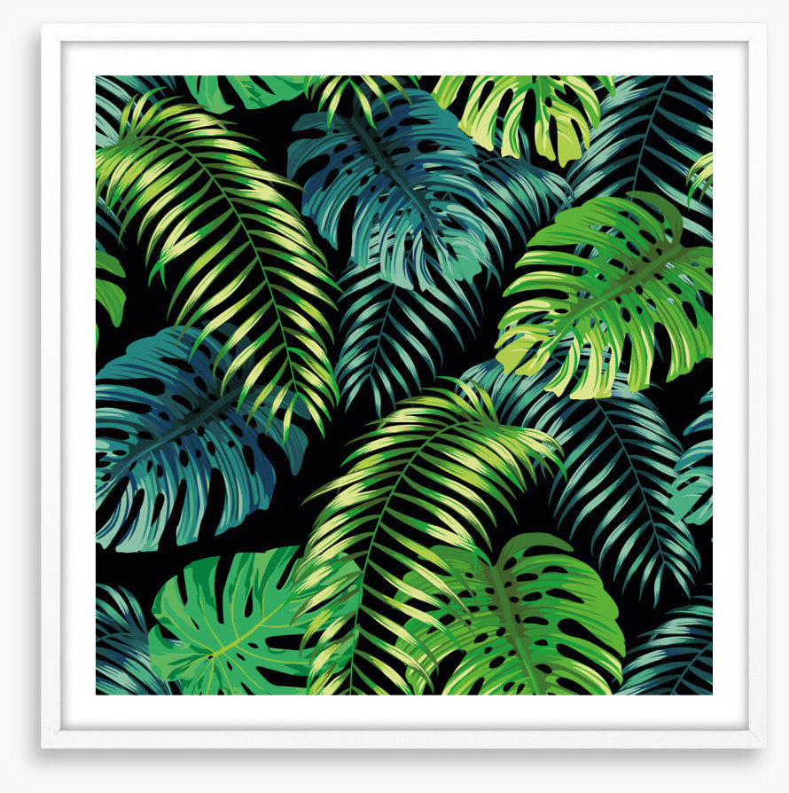 Fern a friend