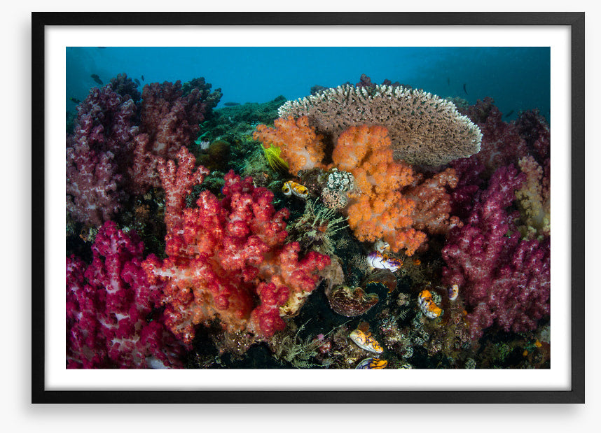 Underwater
