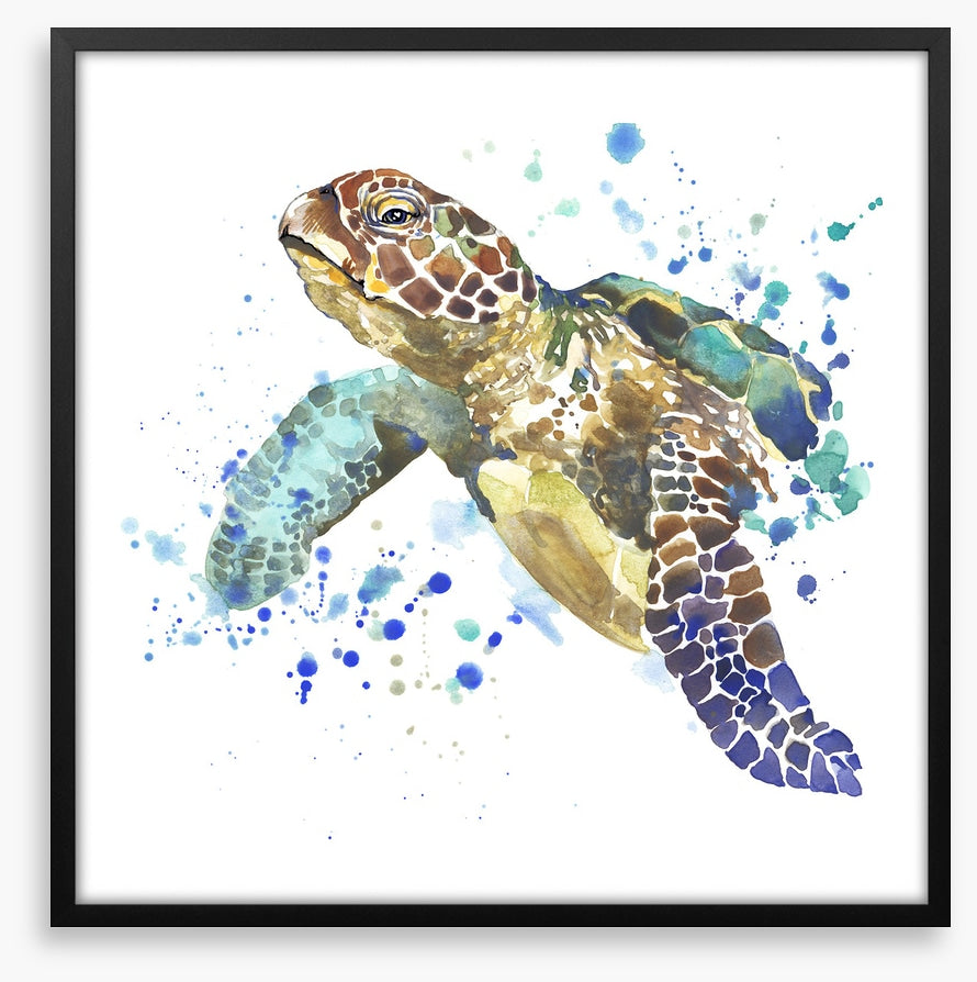 Turtle tidings