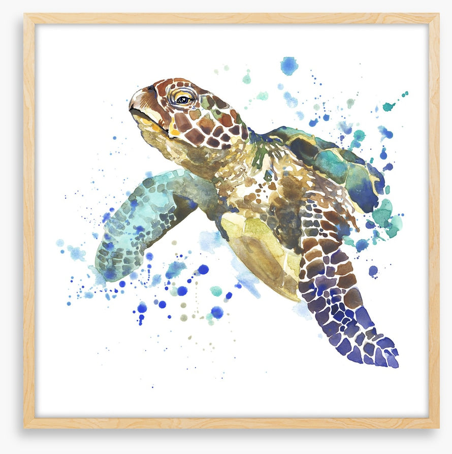Turtle tidings