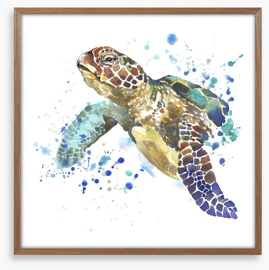 Turtle tidings
