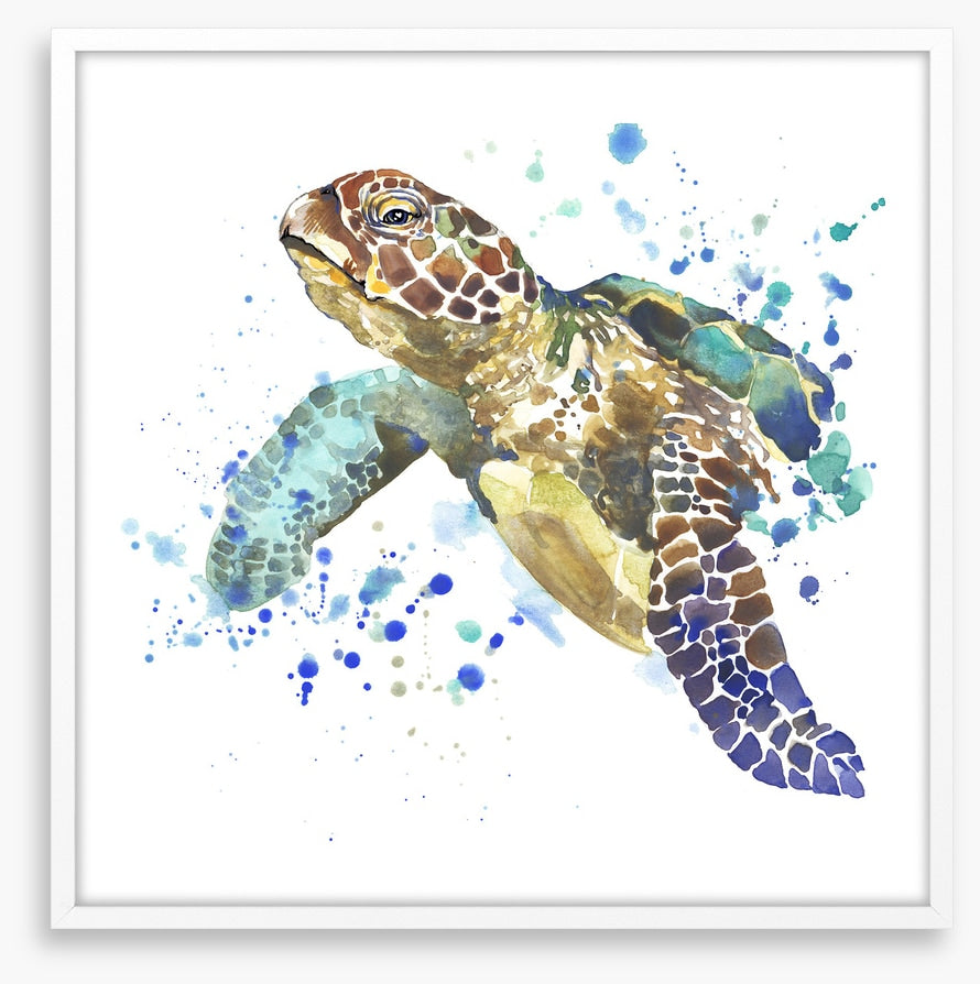 Turtle tidings