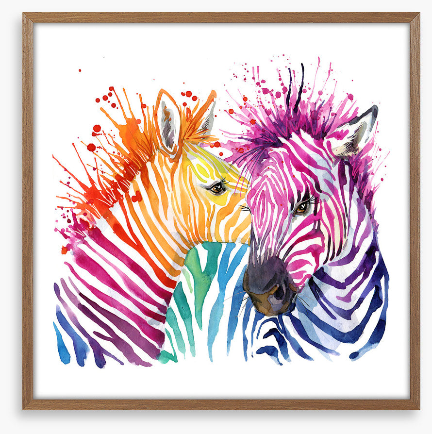 Zebra splash