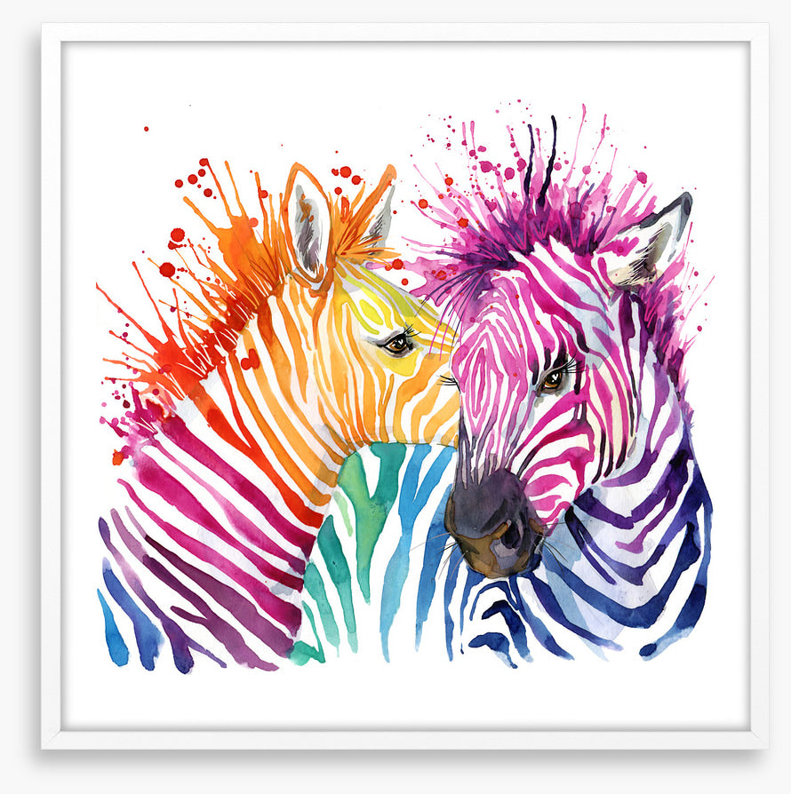 Zebra splash