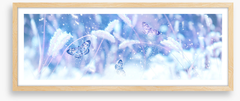 Butterfly snow panorama