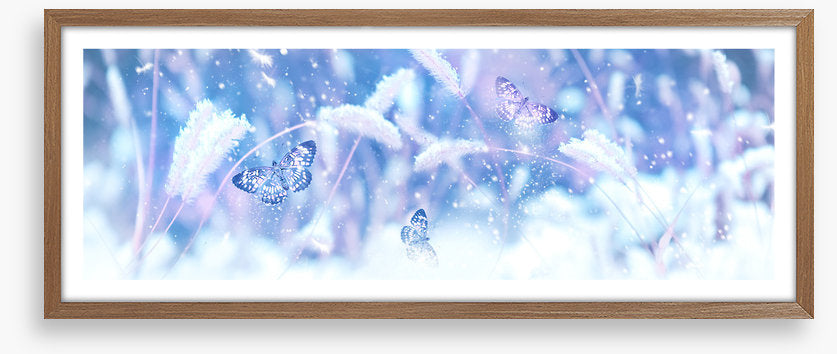 Butterfly snow panorama