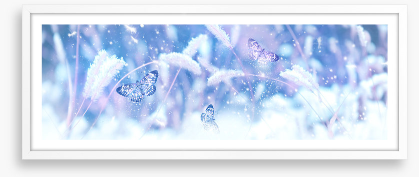 Butterfly snow panorama