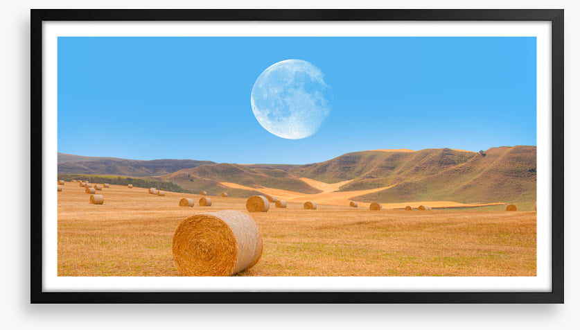 Harvest moon