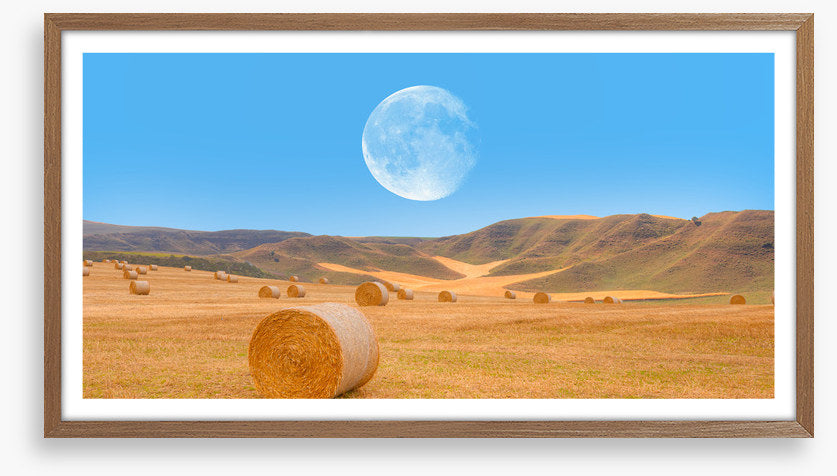 Harvest moon