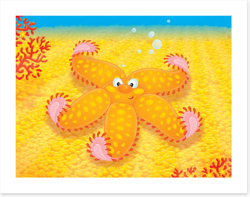 Under The Sea