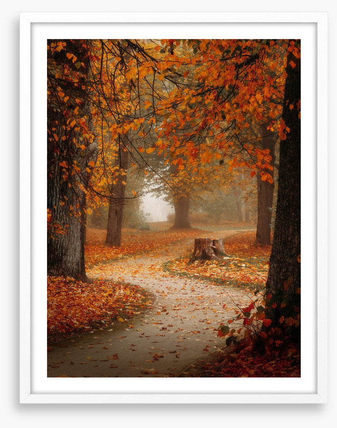 Winding through autumn
