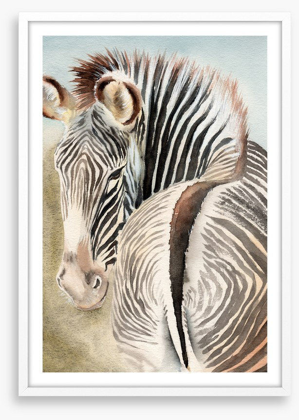 Behind the zebra