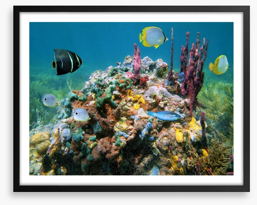 Underwater