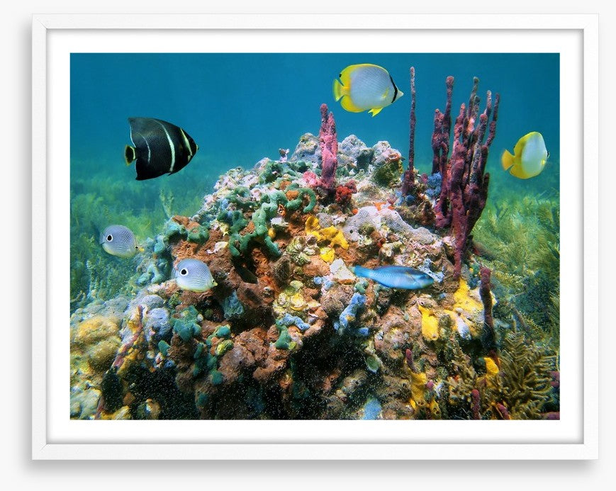 Underwater