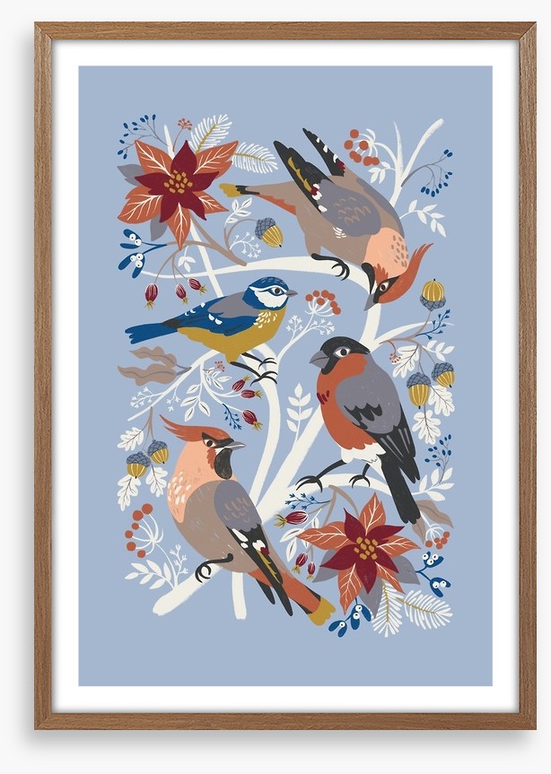 Birds