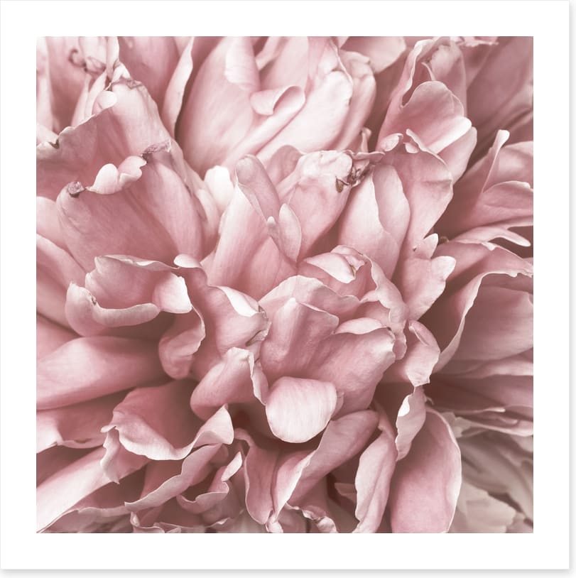 As fragile as love