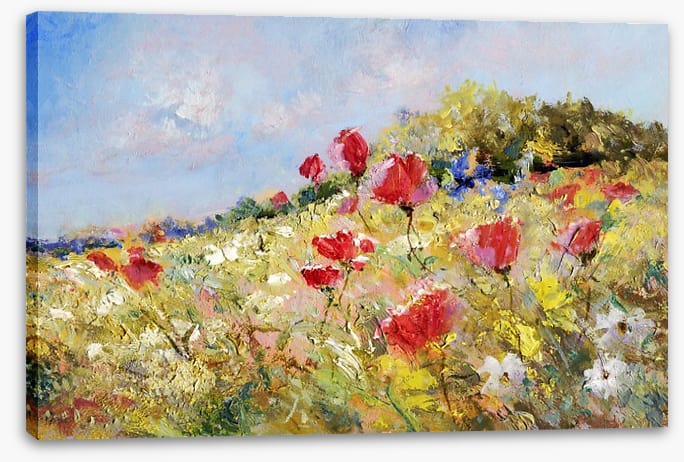 Poppies bloom through