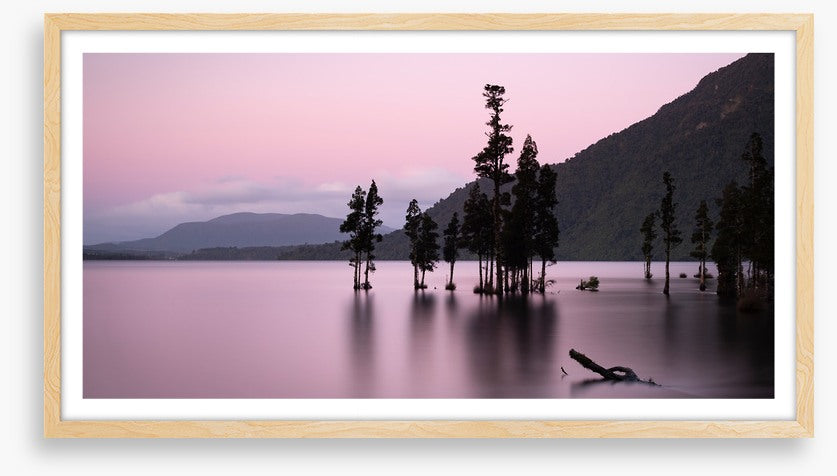 Lake Brunner blush