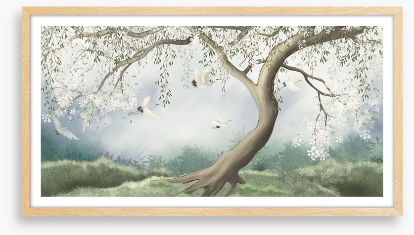 The blossom tree