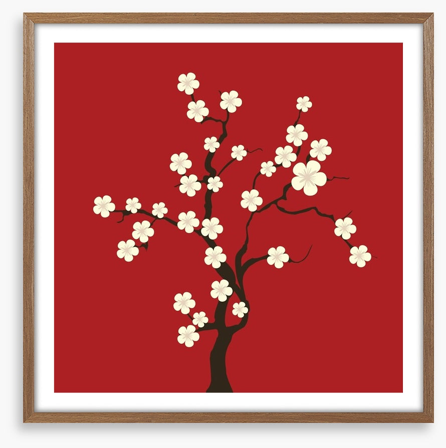 Cherry blossom
