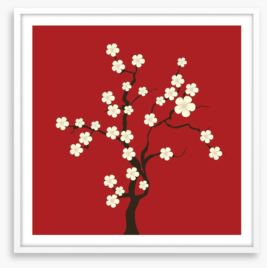Cherry blossom