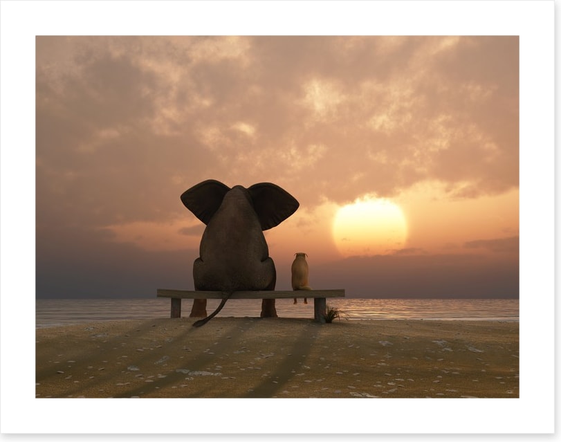 Together watching the sunset