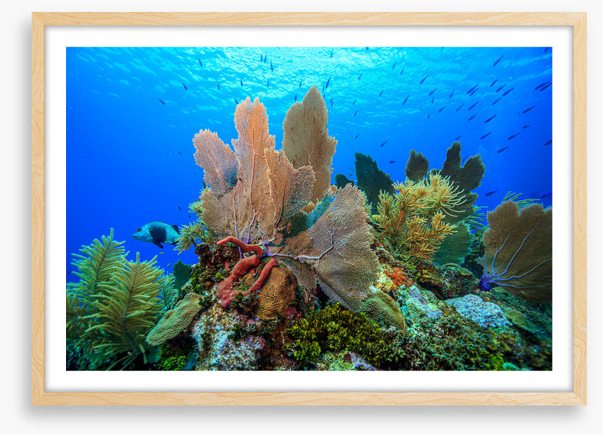 Underwater
