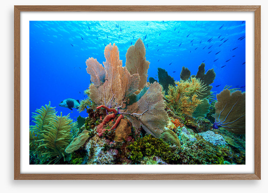 Underwater