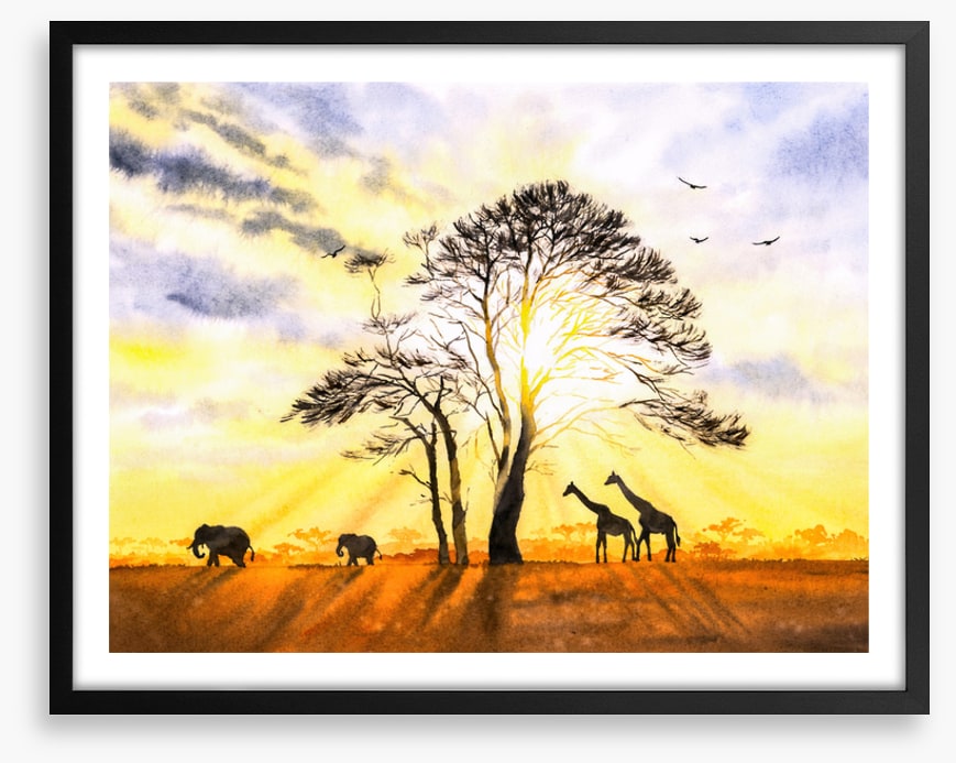Sunbeam safari