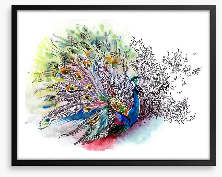 Peacock watercolour