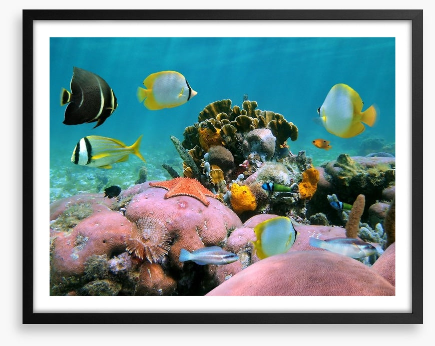 Underwater