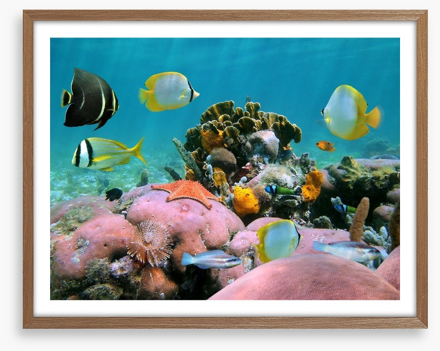 Underwater