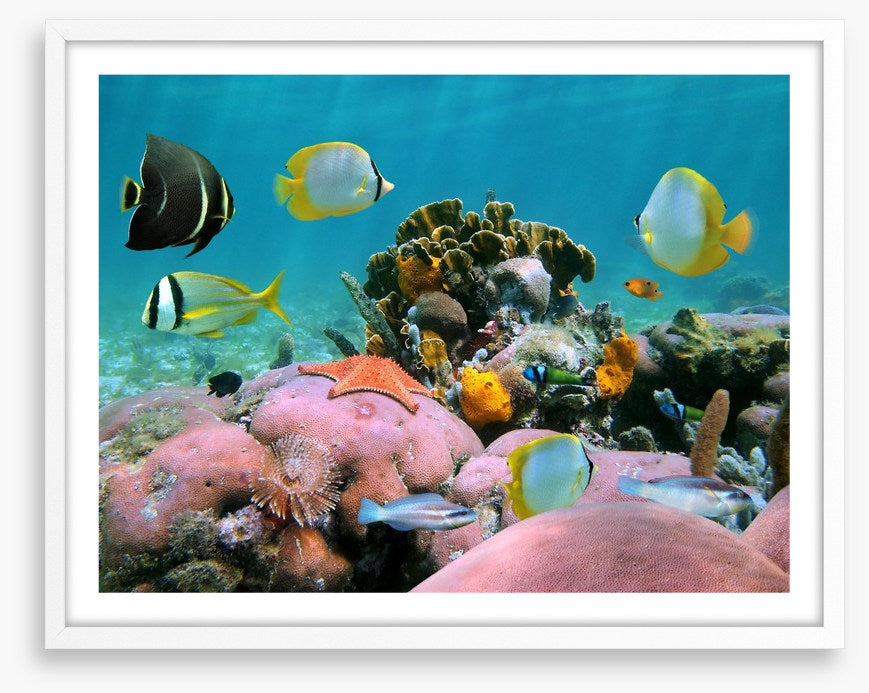 Underwater