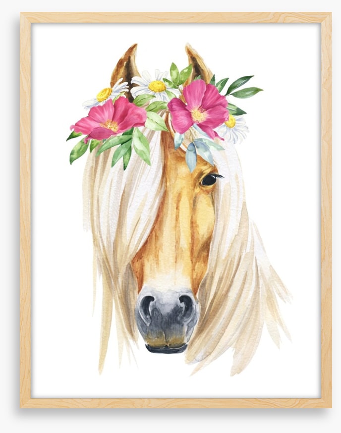 Show pony