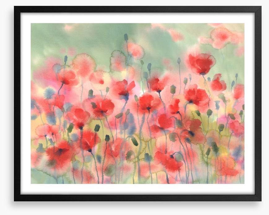 Poppies in the rain