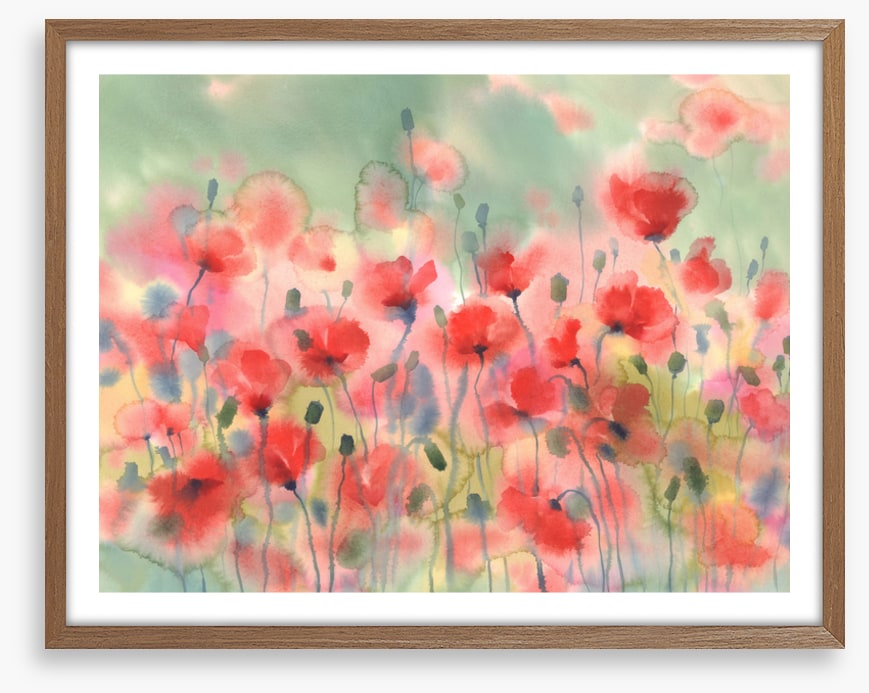 Poppies in the rain