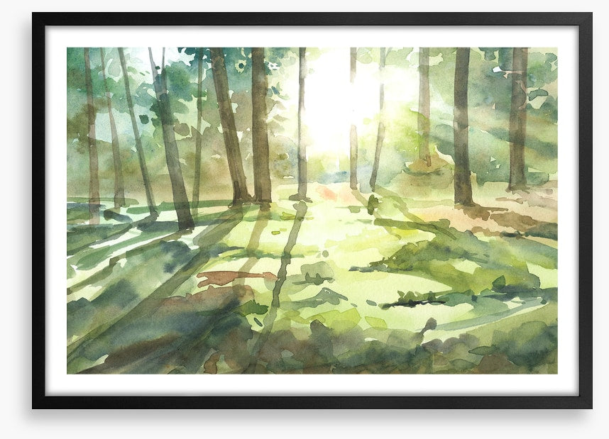 Forest of light I