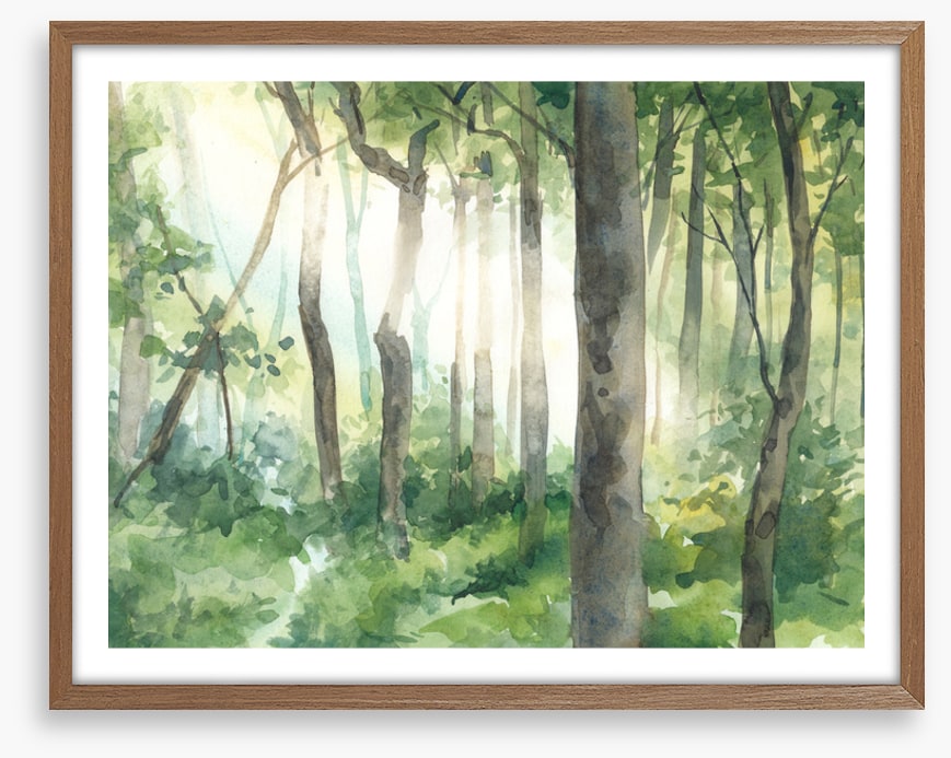 Forest of light II