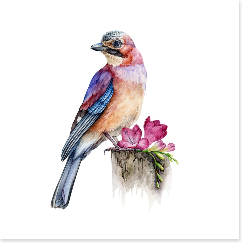 The jay bird perch