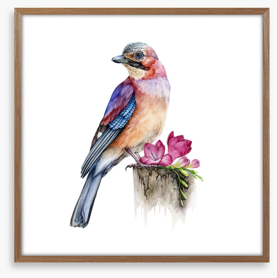 The jay bird perch