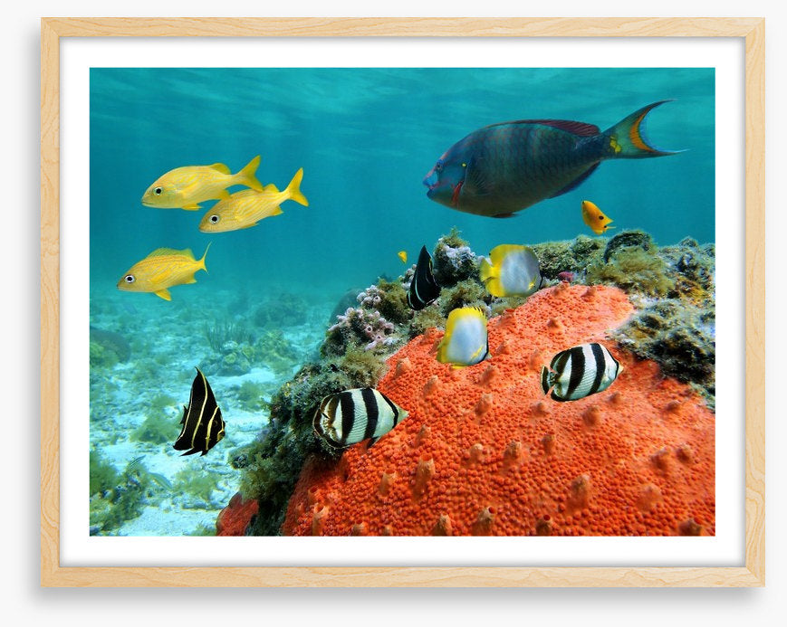 Underwater