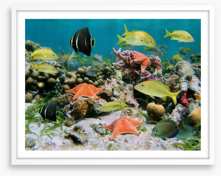 Underwater