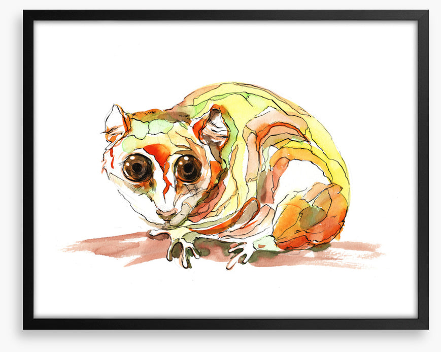 Pensive possum