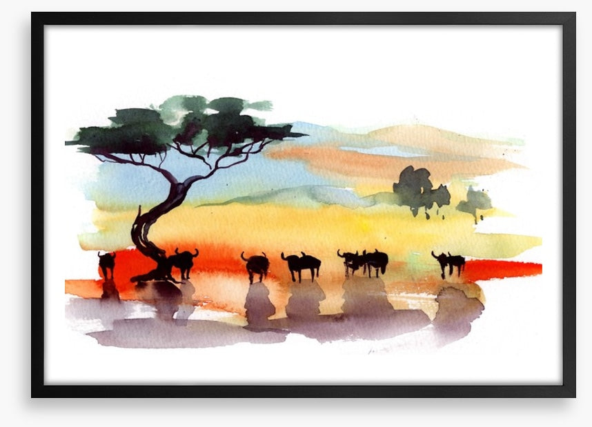 Cape buffalo sunset